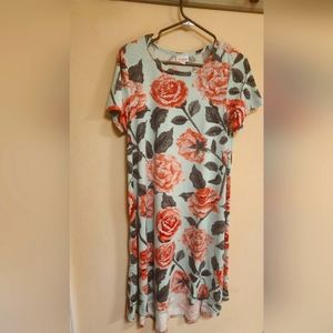 Luluroe Carly Dress